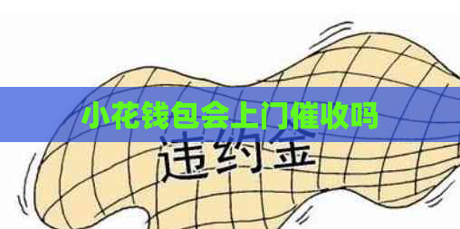 小花钱包会上门吗