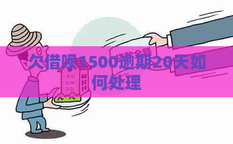 欠借呗1500逾期20天如何处理