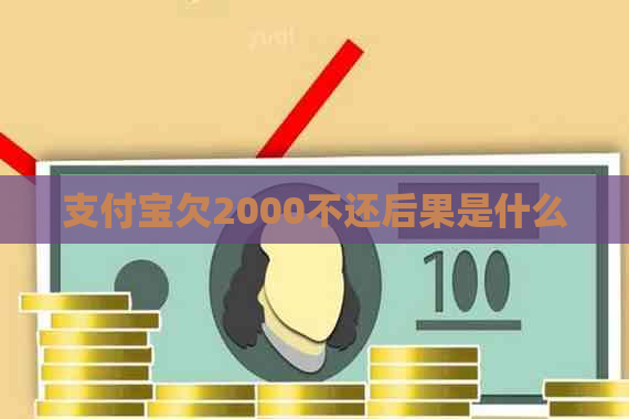 支付宝欠2000不还后果是什么