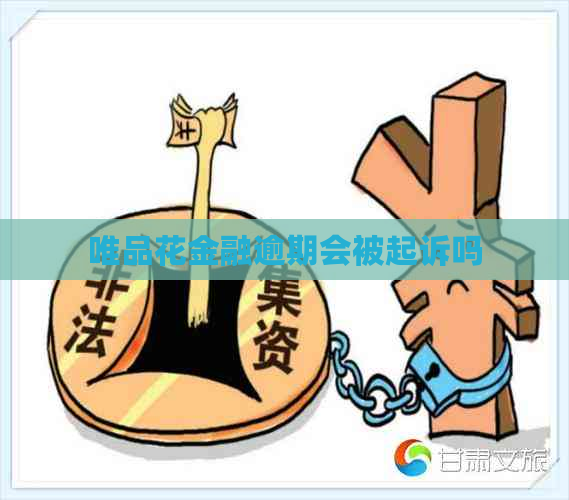 唯品花金融逾期会被起诉吗