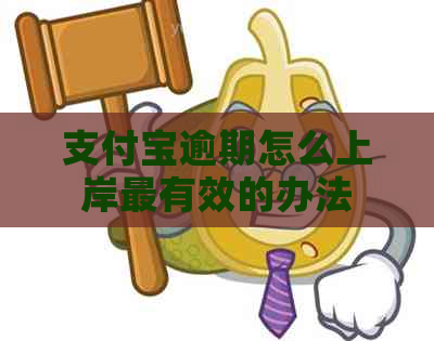 支付宝逾期怎么上岸最有效的办法