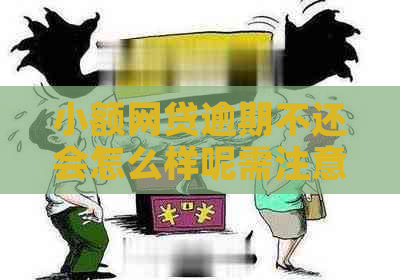 小额网贷逾期不还会怎么样呢需注意哪些后果