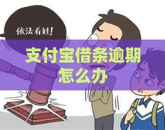 支付宝借条逾期怎么办