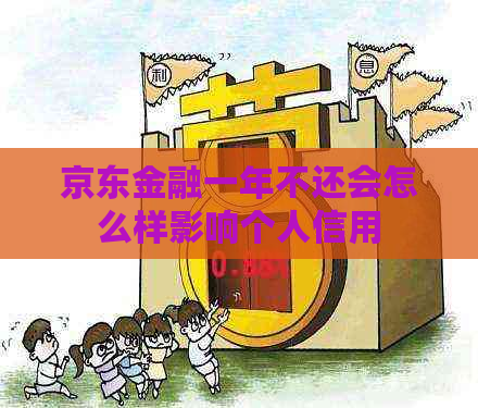 京东金融一年不还会怎么样影响个人信用