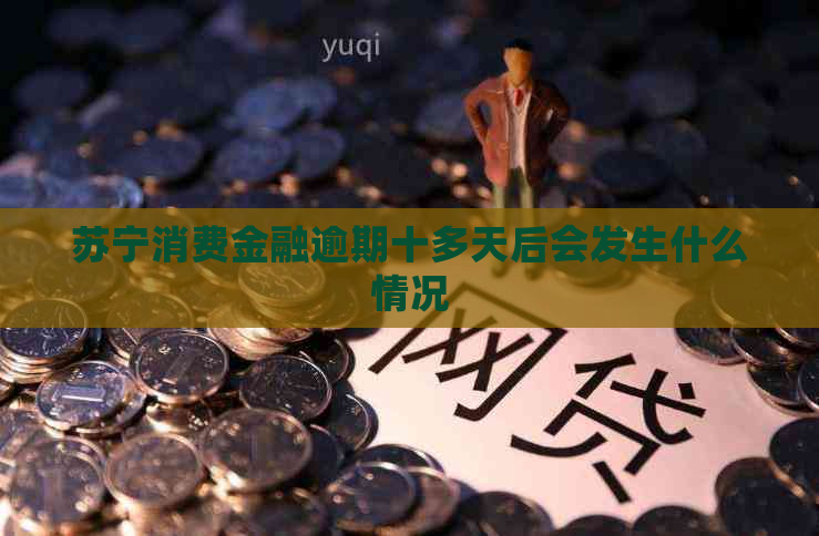 苏宁消费金融逾期十多天后会发生什么情况