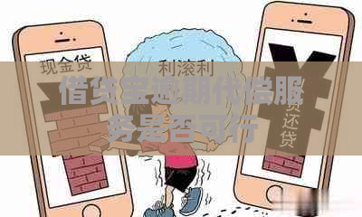 借贷宝逾期代偿服务是否可行