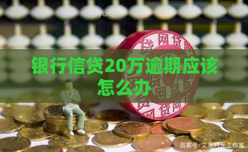 银行信贷20万逾期应该怎么办