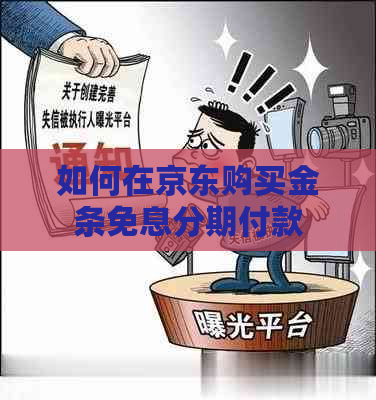 如何在京东购买金条免息分期付款