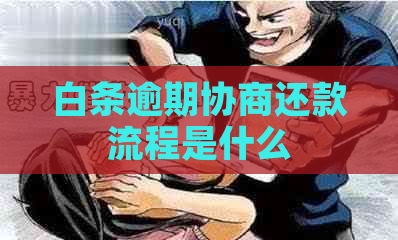 白条逾期协商还款流程是什么