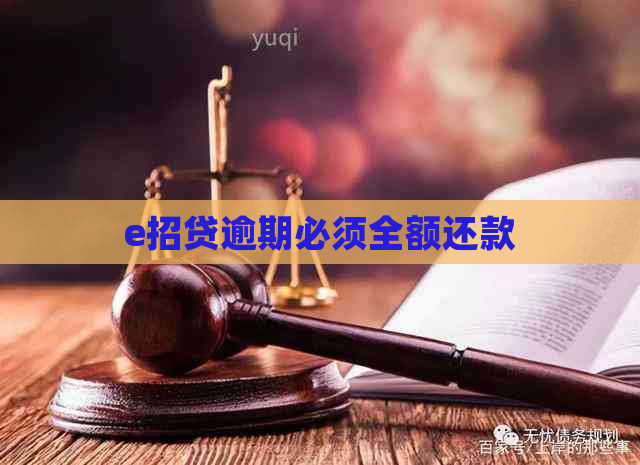 e招贷逾期必须全额还款