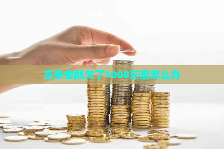 京东金融欠了1000逾期怎么办