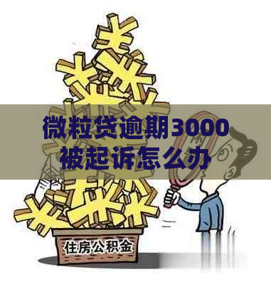 微粒贷逾期3000被起诉怎么办