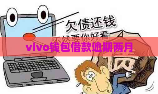 vivo钱包借款逾期两月