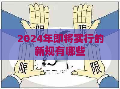 2024年即将实行的新规有哪些