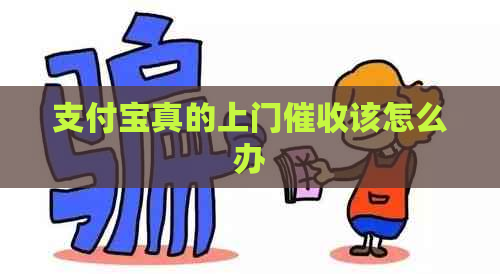 支付宝真的上门该怎么办