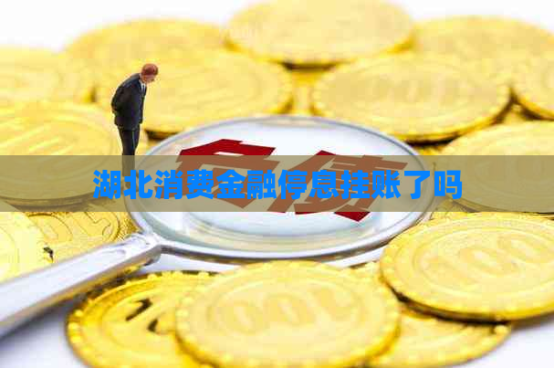 湖北消费金融停息挂账了吗