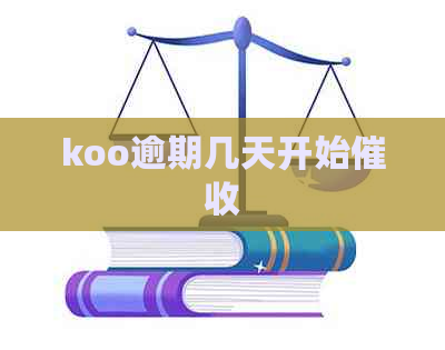 koo逾期几天开始