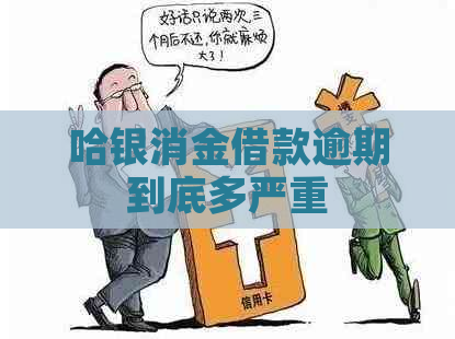 哈银消金借款逾期到底多严重