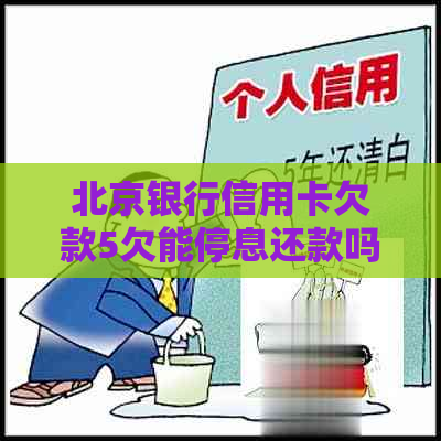 北京银行信用卡欠款5欠能停息还款吗