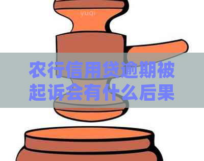 农行信用贷逾期被起诉会有什么后果