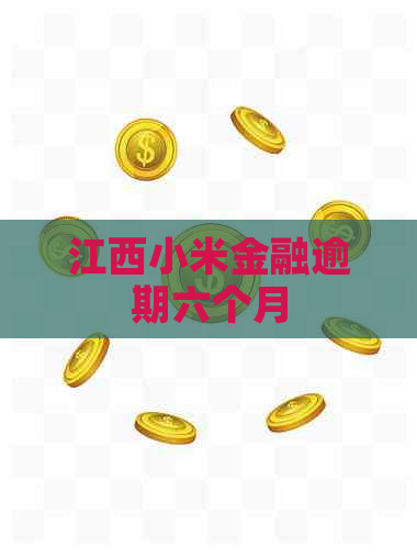 江西小米金融逾期六个月