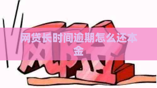 网贷长时间逾期怎么还本金