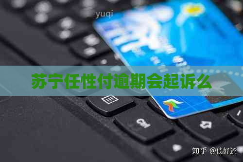 苏宁任性付逾期会起诉么