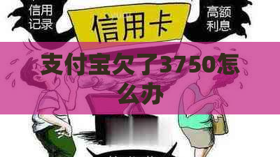 支付宝欠了3750怎么办