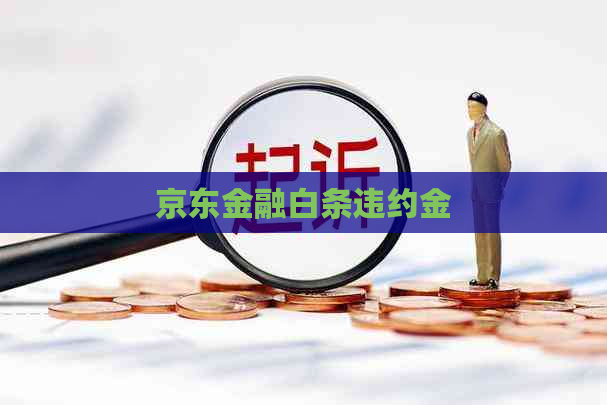 京东金融白条违约金