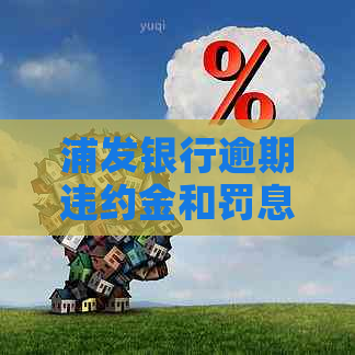 浦发银行逾期违约金和罚息计算规则