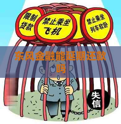 东风金融能延期还款吗