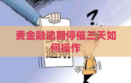 费金融逾期停催三天如何操作