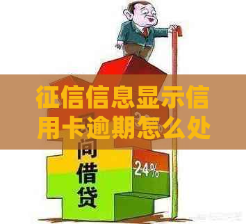 信息显示信用卡逾期怎么处理