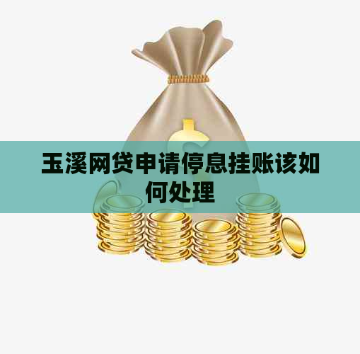 玉溪网贷申请停息挂账该如何处理