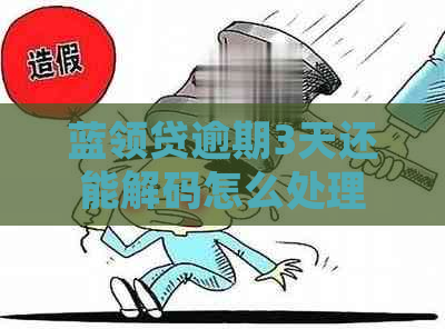 蓝领贷逾期3天还能解码怎么处理