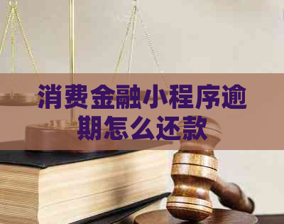 消费金融小程序逾期怎么还款