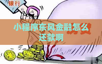 小程序东风金融怎么还款啊