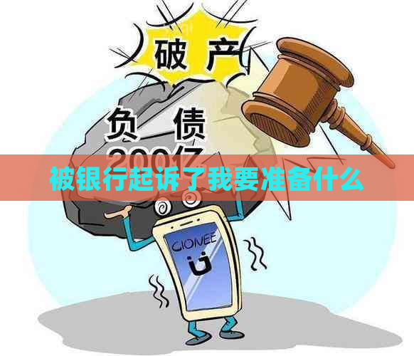 被银行起诉了我要准备什么