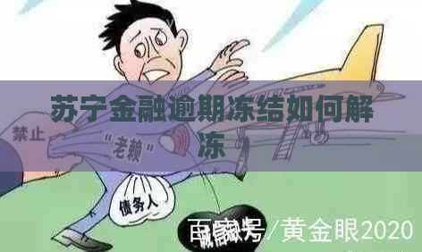 苏宁金融逾期冻结如何解冻