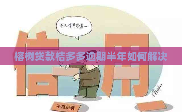 榕树贷款桔多多逾期半年如何解决