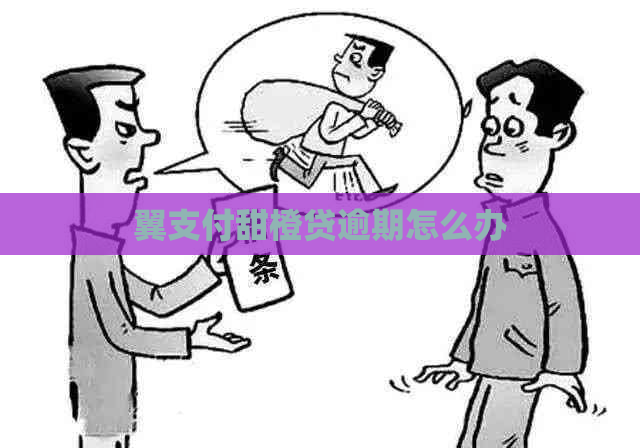 翼支付甜橙贷逾期怎么办