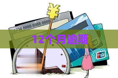 12个月逾期