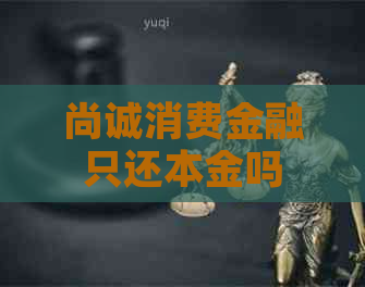 尚诚消费金融只还本金吗