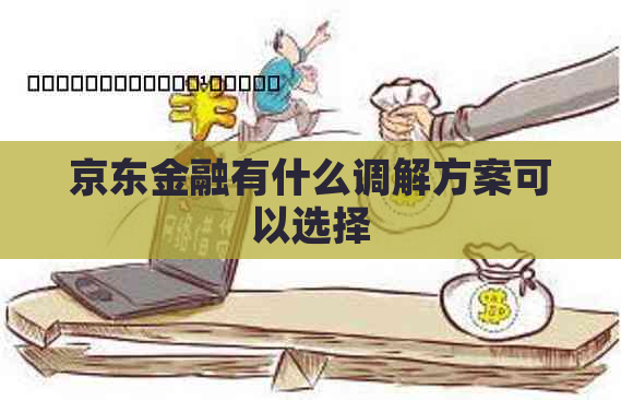 京东金融有什么调解方案可以选择