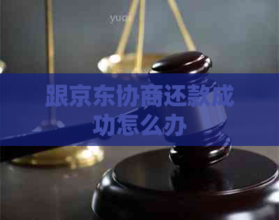 跟京东协商还款成功怎么办