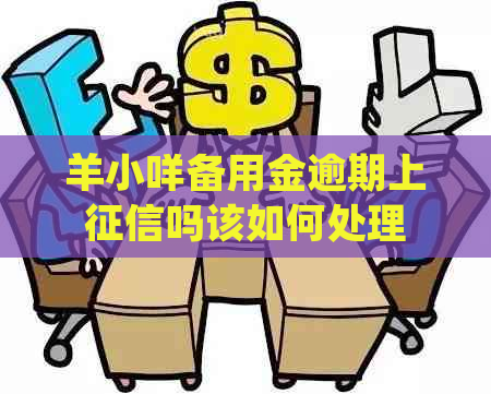 羊小咩备用金逾期上吗该如何处理