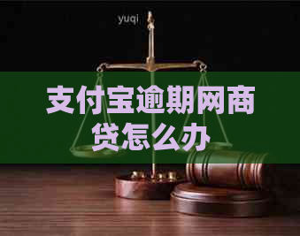 支付宝逾期网商贷怎么办