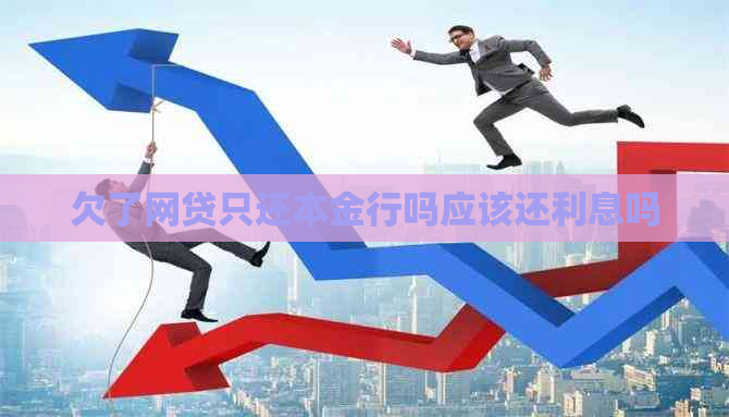 欠了网贷只还本金行吗应该还利息吗