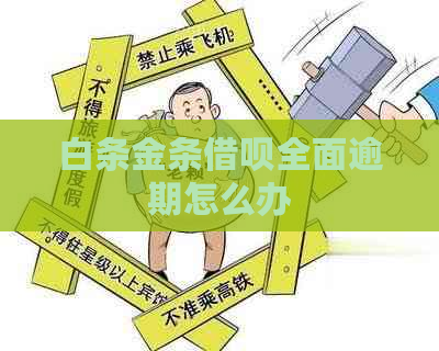 白条金条借呗全面逾期怎么办