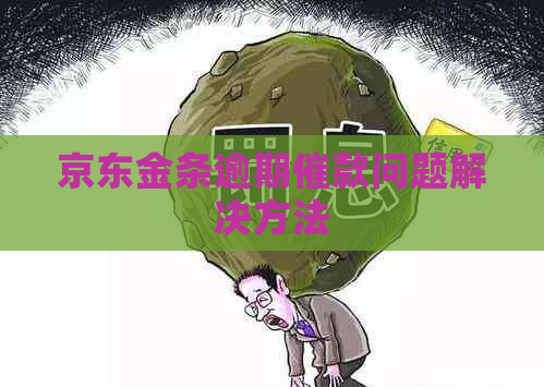 京东金条逾期催款问题解决方法